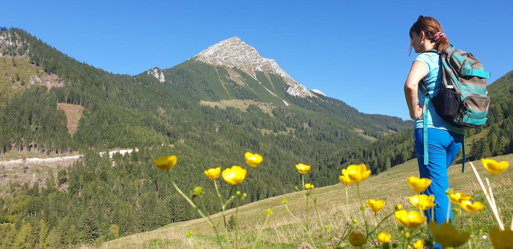 Ferienhaus Mountain View Spital Am Pyhrn Extérieur photo